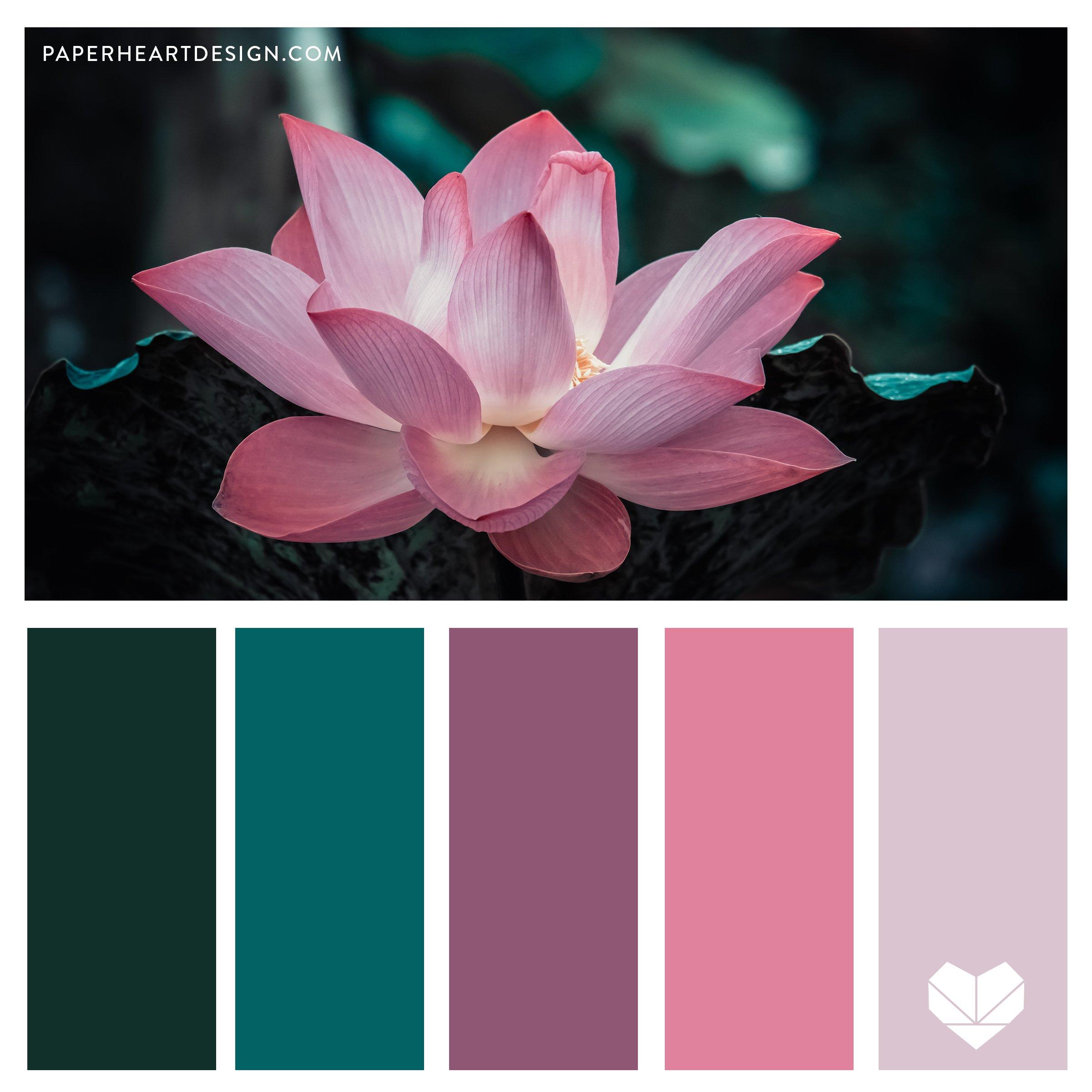 Creating ​Emotional Connections Through Color Palettes