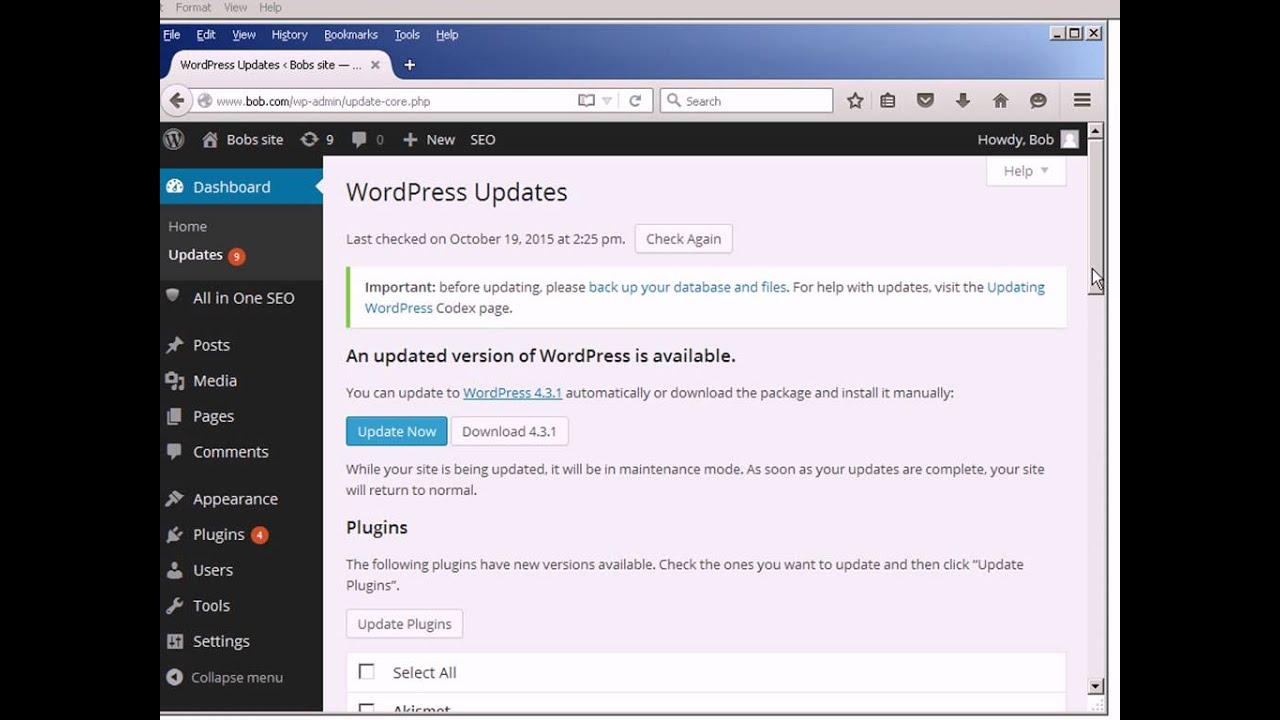 Staying Ahead: Keeping Your WordPress Core and Plugins Updated