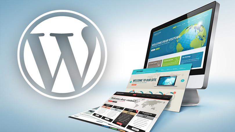 Essential Plugins to Enhance Your WordPress Experience